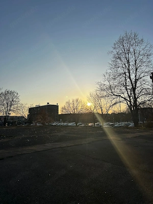 Doktor für Frau und Massage 