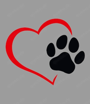 ich suche nach einen hund bitte anzeige genau lesen.