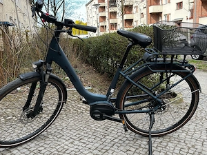 Bergamont E-Horizont RT