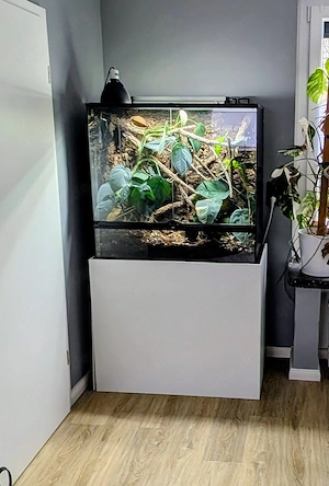 ExoTerra 90x45x90 Terrarium + Kronengecko