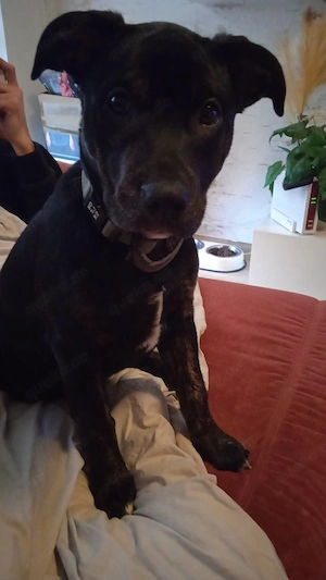 suche die geschwister 