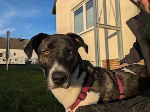 Große Begleiterin Kiwi 