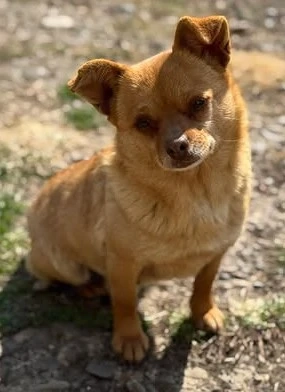 Oldy Goldy, eine süße Herzensbrecherin 