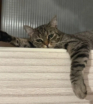 Masha & Momo   ein entzückendes Geschwisterpaar