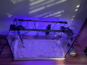 Meerwasser aquarium eheim. 