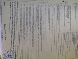 Griechische Landschildkröten mit Cites