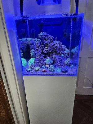Meerwasseraquarium Nyos G 200