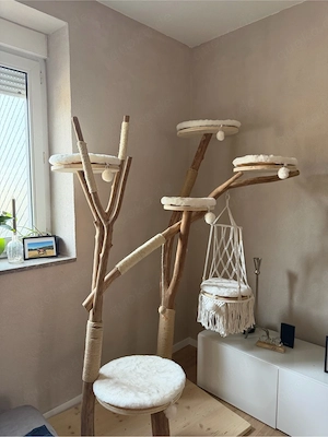 Kratzbaum Echtholz einzelstück ! 