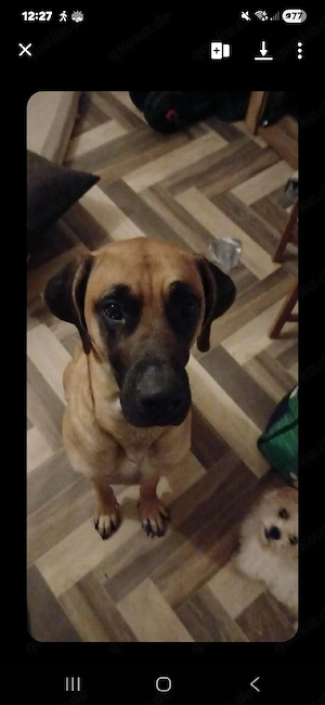 Dringend neues zu Hause gesucht !