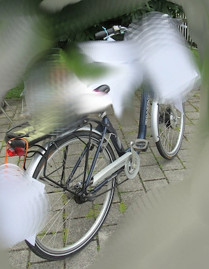 E-Bike Panther Minerva älteres Pedelec Damen Fahrrad an Bastler