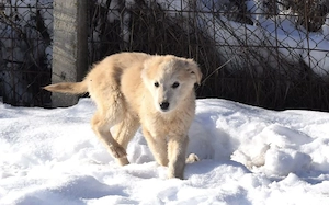 Wer verliebt sich in Zwackelmann? Bild 3