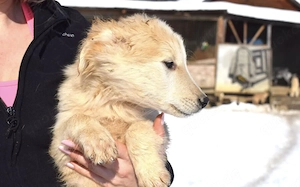 Wer verliebt sich in Zwackelmann? Bild 2