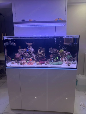 meerwasser Aquarium Komplett 400L