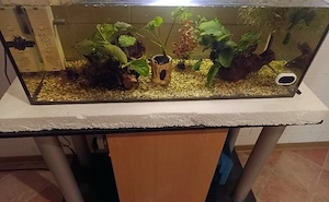 112 Liter Aquarium komplett 