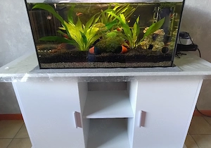 54 Liter Aquarium mit Unterschrank 