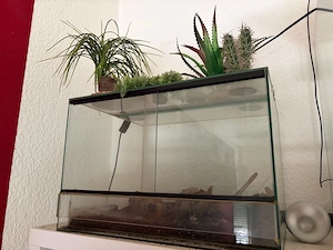 Terrarium 45x30x35 cm zu verkaufen