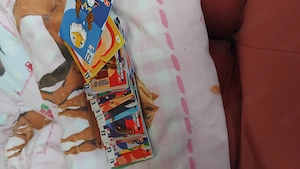 Patiniert Karten Fußball 2026