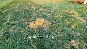 Wiesen-, Weide und Koppelpflege - Striegeln, nachsäen Bild 5