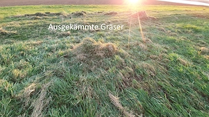 Wiesen-, Weide und Koppelpflege - Striegeln, nachsäen Bild 4