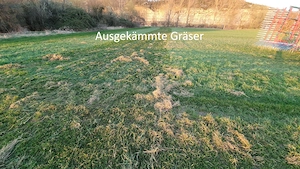 Wiesen-, Weide und Koppelpflege - Striegeln, nachsäen Bild 3