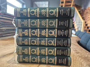 Theodor Storm Bücher 