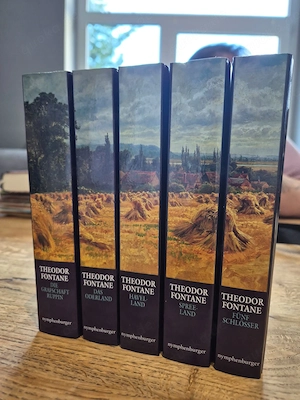 Theodor Fontane Bücher
