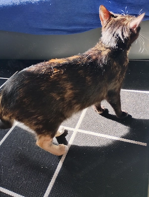 Wir suchen unser Glück. Bild 2