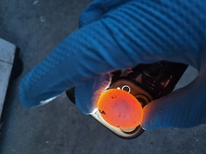  Tauben weibchen und milch