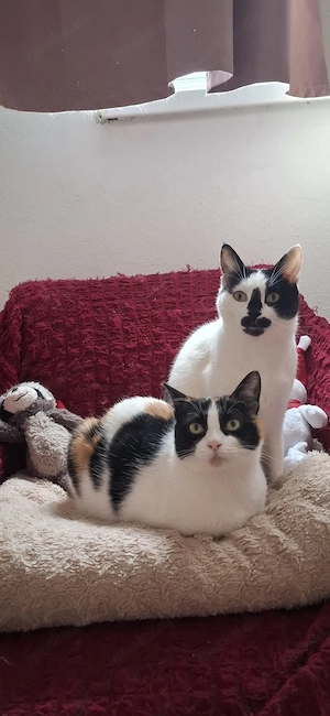 Zara wartet auf ihr Ticket ins Glück