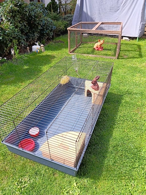 Meeschweinchen Hasenkäfig mit Freigehege