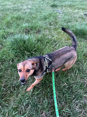 Lea, einfach nur perfekt und zuckersüß