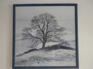 3 Bilder im Nielson Holzrahmen