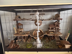 Nagervoliere mit Vielzitzenmäusen