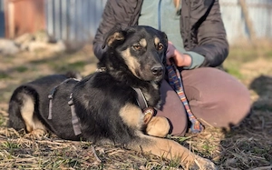 Bildhübsche Nauca sucht dich!