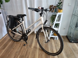 Giant Escape E-bike Damen Große M