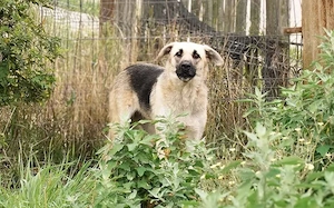 Farah ist ein aufgeschlossenes Mädchen