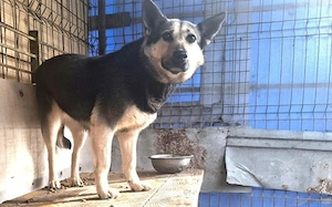 Dita sucht einfühlsame Menschen Bild 6