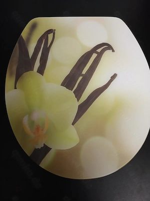 WC-Sitz ohne Absenkautomatik