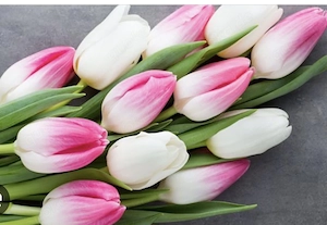 Treppenhaus,-Büro- und Praxisreinigung 