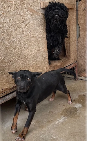  Padlas, zzt. in Ungarn, zeigte sich vorsichtig