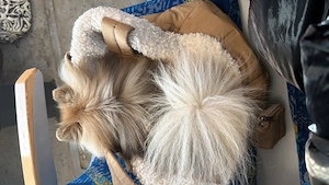 Ts Bruna Original Bilder