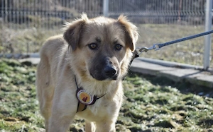 Milina - bezaubernd schön und freundlich