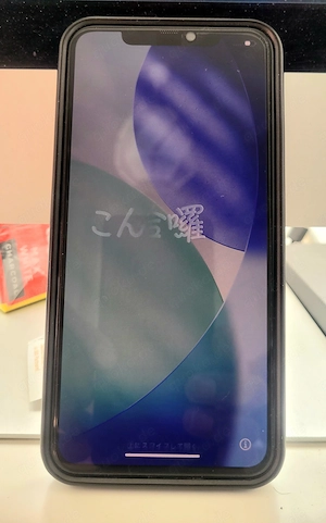 IPhone 11 Pro Max 256 GB, TOP Zustand, 93% Akku