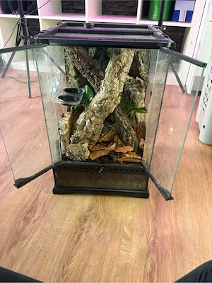 Gebrauchtes Exoterra 30x30x45, mit Zubehör, Rückwand, Efeutute