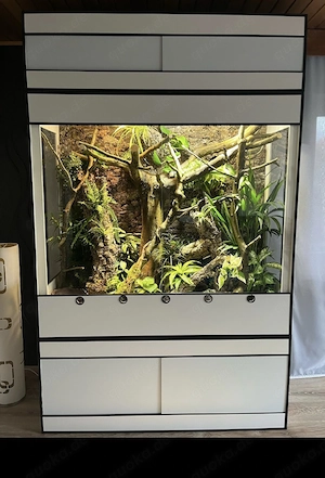 -20% auf alle Kunststoff Terrarium und Terrarien  Bild 6