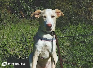 BONNIE   ist bereit für ihr Glückt. 