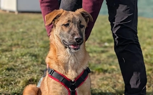 Darf Xenia bei dir ankommen?