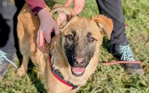 Talula wartet auf ihre Familie