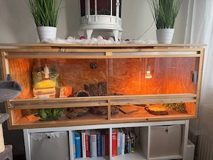 DRINGEND! 1,50 Meter großes Terrarium+Einrichtung