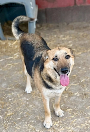 Nina auf der Suche nach dem Glück